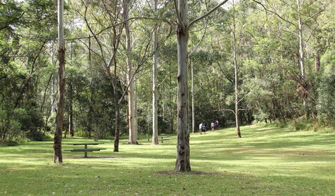 Mill Creek Picnic Area - Accommodation Port Hedland 3