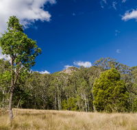 Brush Turkey track - Accommodation Port Hedland