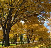 Centennial Park at Cooma - Accommodation Port Hedland