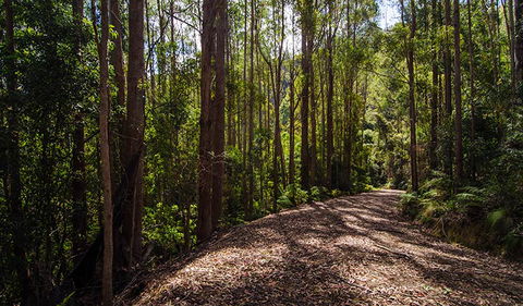 Myrtle Scrub Scenic Drive - Accommodation Port Hedland 1