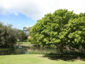 Hervey Bay Botanic Gardens - Accommodation Port Hedland 0
