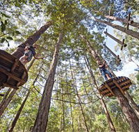 TreeTop Adventure Park Central Coast - Accommodation Port Hedland