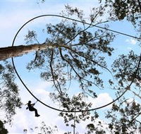 TreeTops Crazy Rider - Accommodation Port Hedland