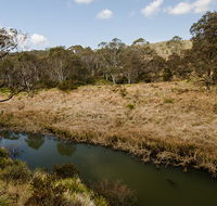 Werrikimbe National Park - Accommodation Port Hedland