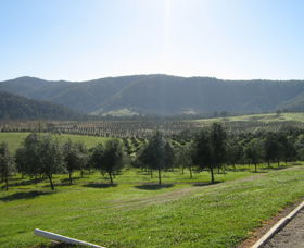 Hastings Valley Olives - Accommodation Port Hedland 0