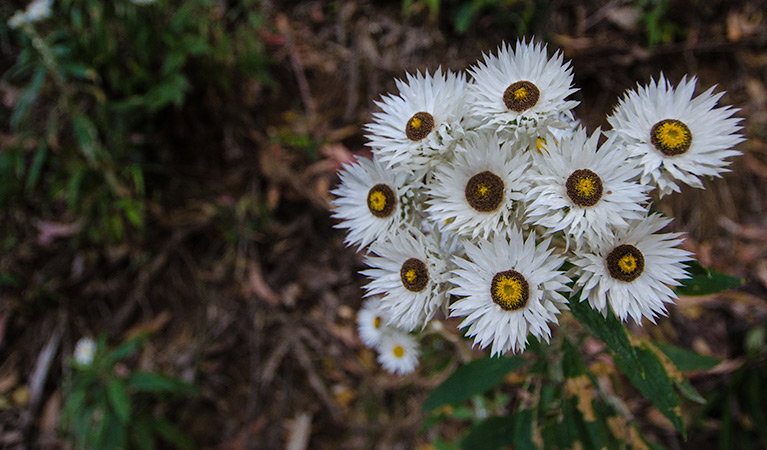 Banda Banda NSW Accommodation Port Hedland