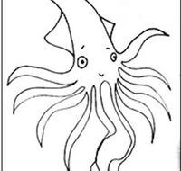 Squid Studio - Accommodation Port Hedland