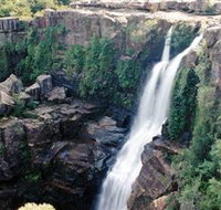 Minnamurra Rainforest Centre Budderoo National Park - Accommodation Port Hedland