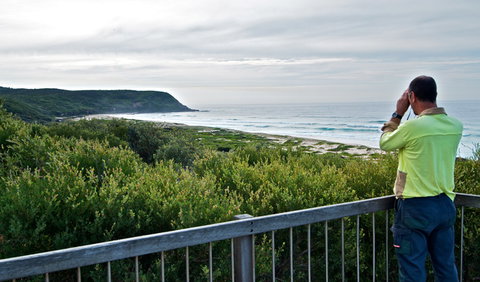 Tea Tree Picnic Area And Lookout - Accommodation Port Hedland 2