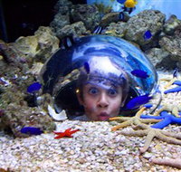Sea Life Sunshine Coast - Accommodation Port Hedland