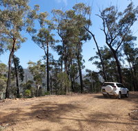 Wadbilliga Road drive - Accommodation Port Hedland