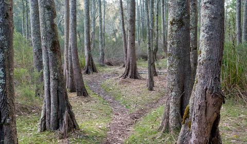 Anabranch Loop Track - Accommodation Port Hedland 1