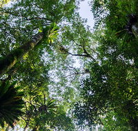 Botanic walk - Accommodation Port Hedland