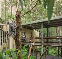 Daisy Hill Koala Centre - Accommodation Port Hedland