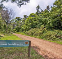 Antarctic Beech picnic area - Accommodation Port Hedland