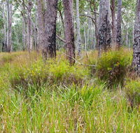 Narrawallee Inlet walking track - Accommodation Port Hedland