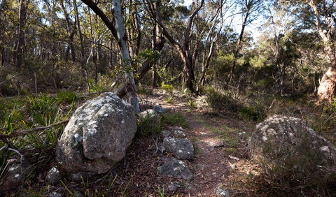 Wadbilliga National Park - Accommodation Port Hedland 2