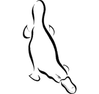 Platypus Gallery - Accommodation Port Hedland