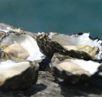 Jim Wilds Oyster Service - Accommodation Port Hedland
