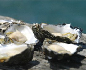 Jim Wilds Oyster Service - Accommodation Port Hedland 0