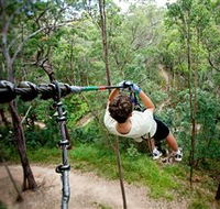 TreeTop Challenge - Accommodation Port Hedland