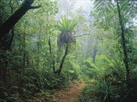 Wagawn - Accommodation Port Hedland 0