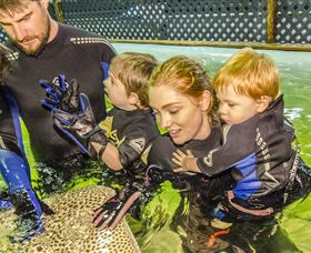 Irukandji Shark And Ray Encounters - Accommodation Port Hedland 0