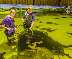 Irukandji Shark And Ray Encounters - Accommodation Port Hedland 3