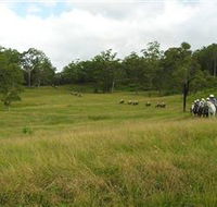 Numinbah Valley Adventure Trails - Accommodation Port Hedland