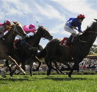 Moruya Racecourse - Accommodation Port Hedland