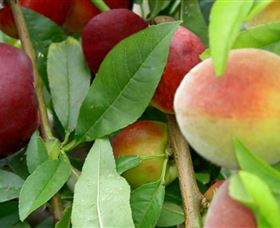 Eungai Creek NSW Accommodation Port Hedland