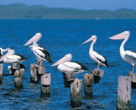Walpole-Nornalup Inlets - Accommodation Port Hedland 1
