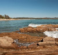 Shelly Beach Picnic Area - Moruya Heads - Accommodation Port Hedland
