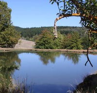 Oak Grove Walk Balingup - Accommodation Port Hedland
