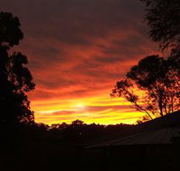 Tinonee Museum - Accommodation Port Hedland