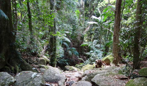 Wollumbin National Park - Accommodation Port Hedland 2