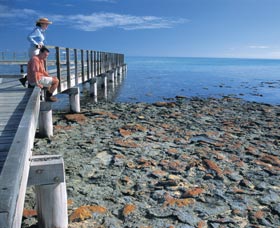 Hamelin Pool Stromatolites - Accommodation Port Hedland 3