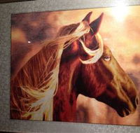 Silk Art Gallery - Accommodation Port Hedland