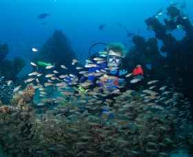 Aarhus Dive Site - Accommodation Port Hedland 0