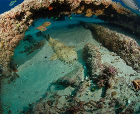 Aarhus Dive Site - Accommodation Port Hedland 3