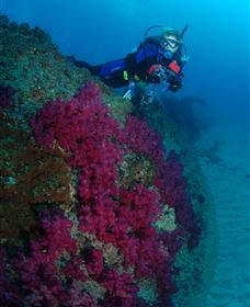 Aarhus Dive Site - Accommodation Port Hedland 2