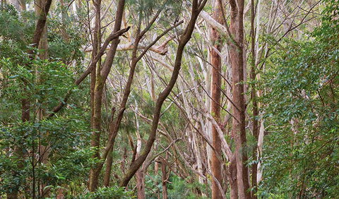 Ulidarra National Park - Accommodation Port Hedland 1