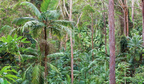 Ulidarra National Park - Accommodation Port Hedland 3