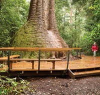 Burrawan State Forest - Accommodation Port Hedland