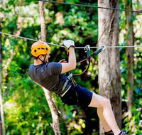 TreeTop Challenge Currumbin - Accommodation Port Hedland