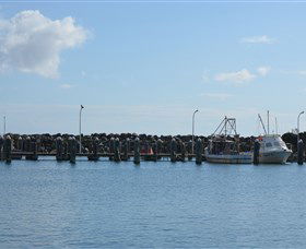 Club Harrington - Accommodation Port Hedland 2