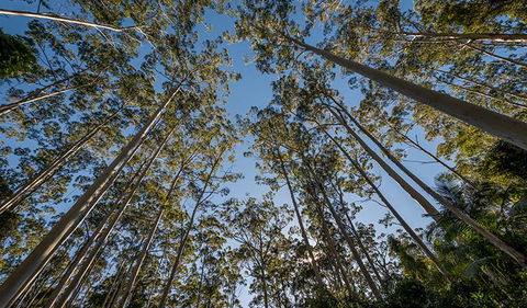 Queens Lake Nature Reserve - Accommodation Port Hedland 2
