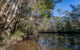 Queens Lake Nature Reserve - thumb 3