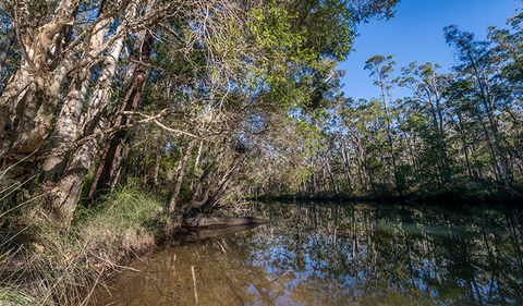 Queens Lake Nature Reserve - Accommodation Port Hedland 3