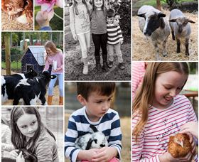 Roses Vineyard And Animal Farm - Accommodation Port Hedland 1